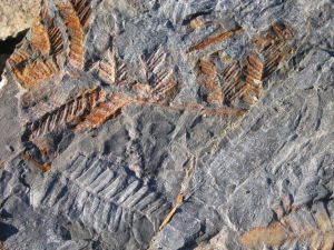 mineraux